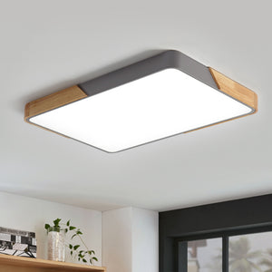 LED CEILING LIGHTS